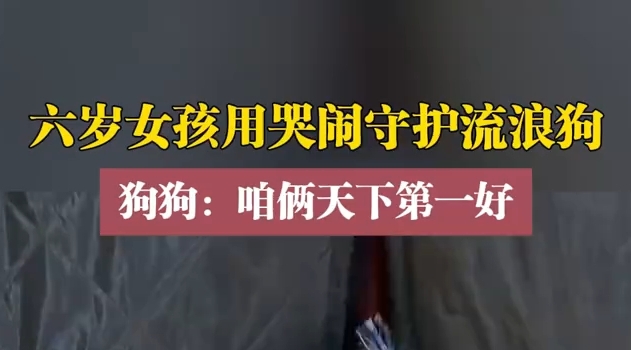 六岁小女孩用哭闹守护流浪狗