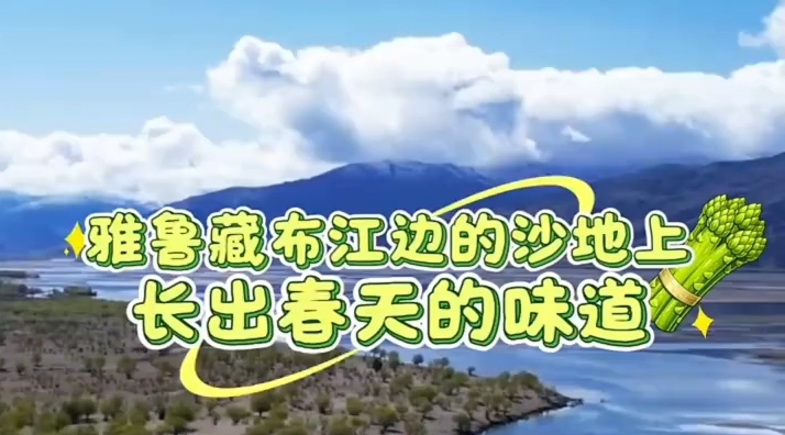 高原沙地焕新生