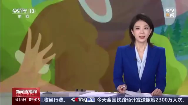 视频丨服务区畅玩、乡村漫游、水上观光 趁着假期“趣”打卡