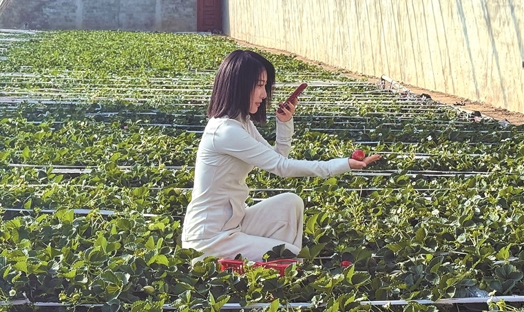 深耕净土产业 筑牢民生基础
