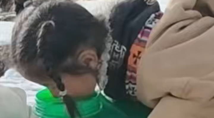 两萌娃小溪旁打水 水满溢出，赶紧抿一口