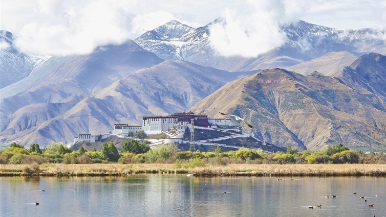 拉鲁湿地风光好