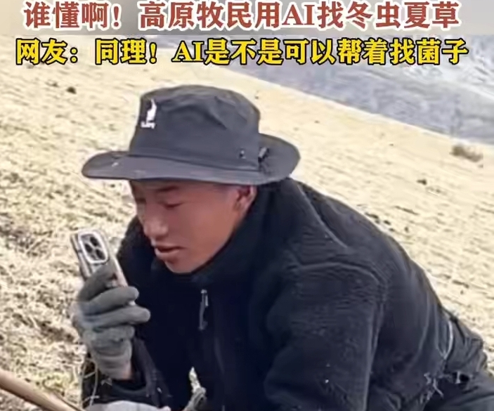 谁懂啊!高原牧民用#AI找#冬虫夏草