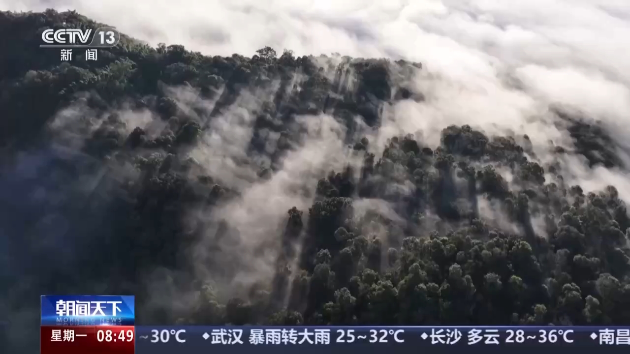 文化中国行|一脉茶香贯古今 东方茶韵