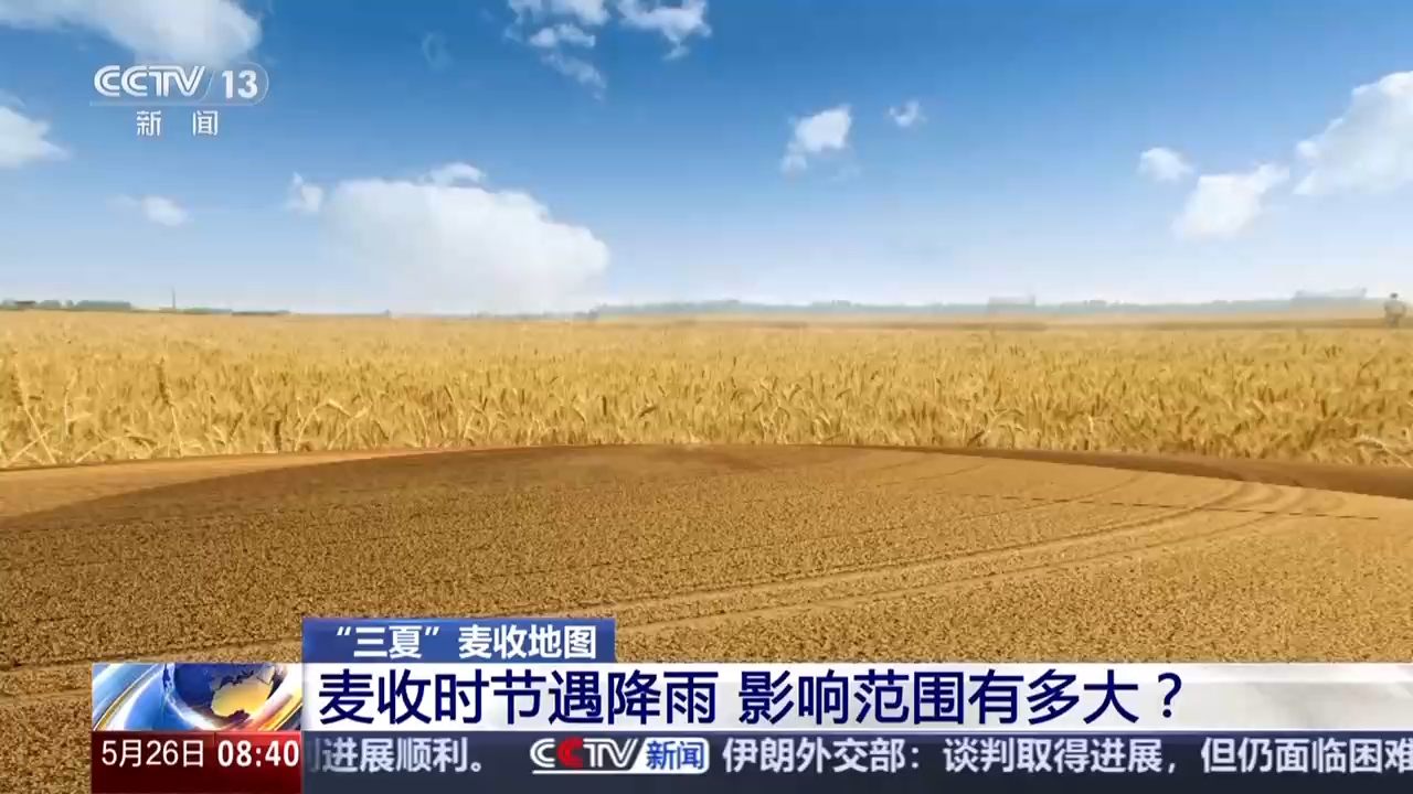 视频丨麦收时节遇降雨 影响范围有多大？专家解读