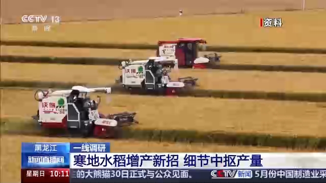 视频丨良法良种良机 寒地水稻增产新招让“不可能”成为现实