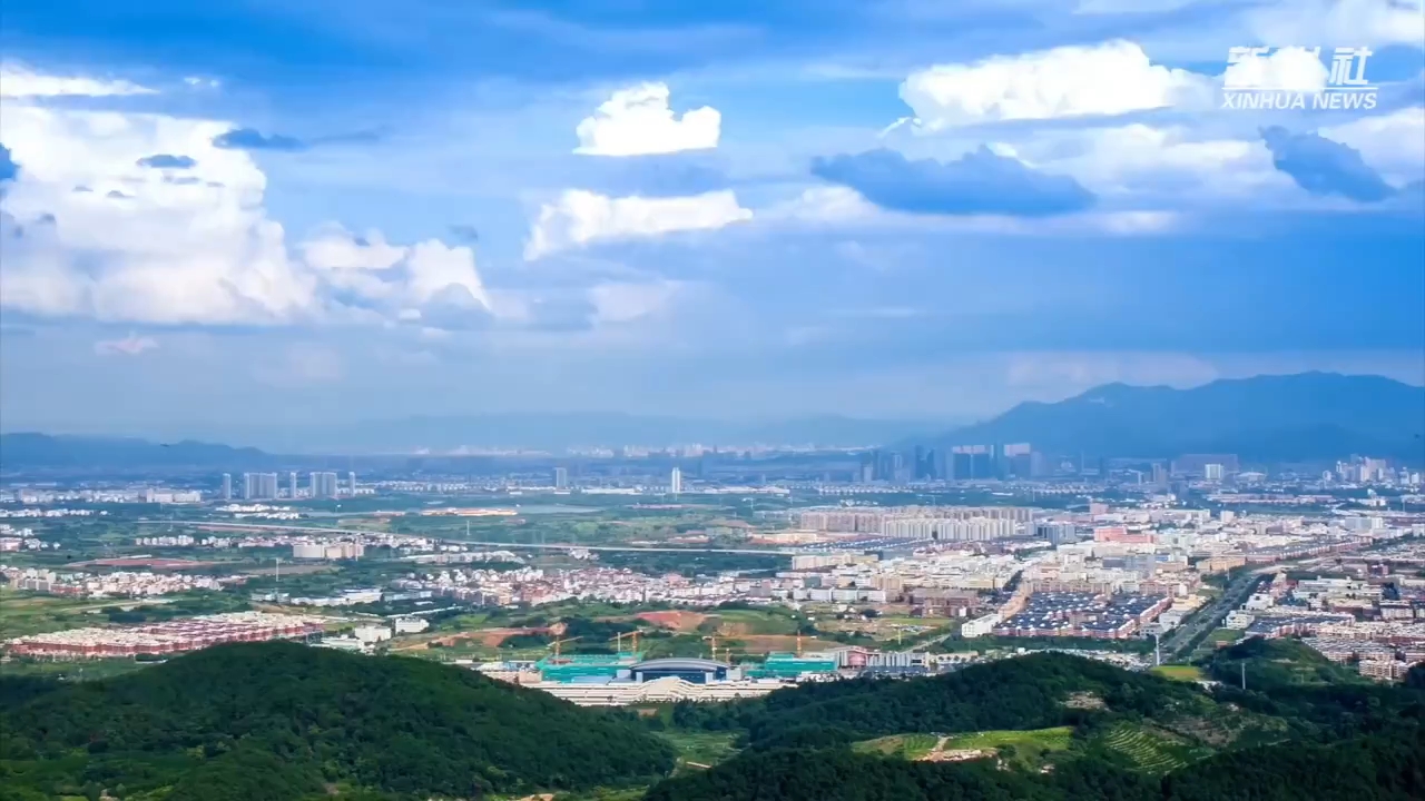AI赋能跨境贸易：义乌老板娘的“共富”生意经