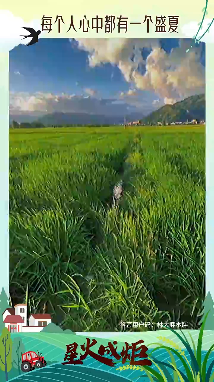 星火成炬 沃野新篇｜每个人心中都有一个盛夏