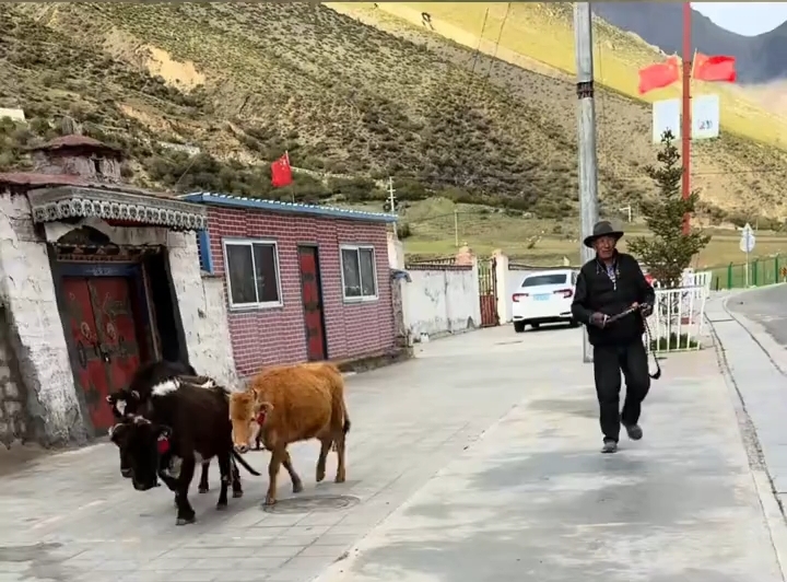车钥匙遗失摩友骑行两小时寻找，老人捡到归还