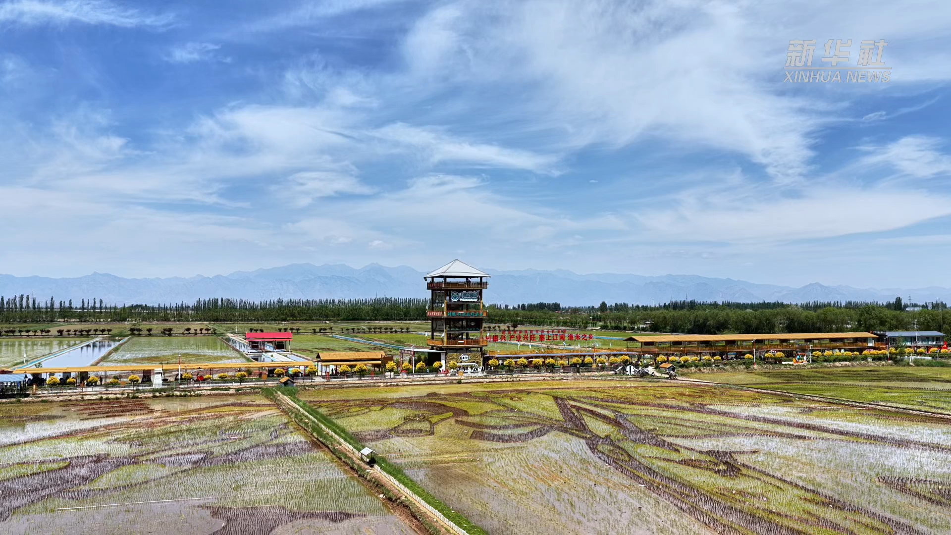 一滴黄河水“打工”三次 稻田地上“长”出新风景