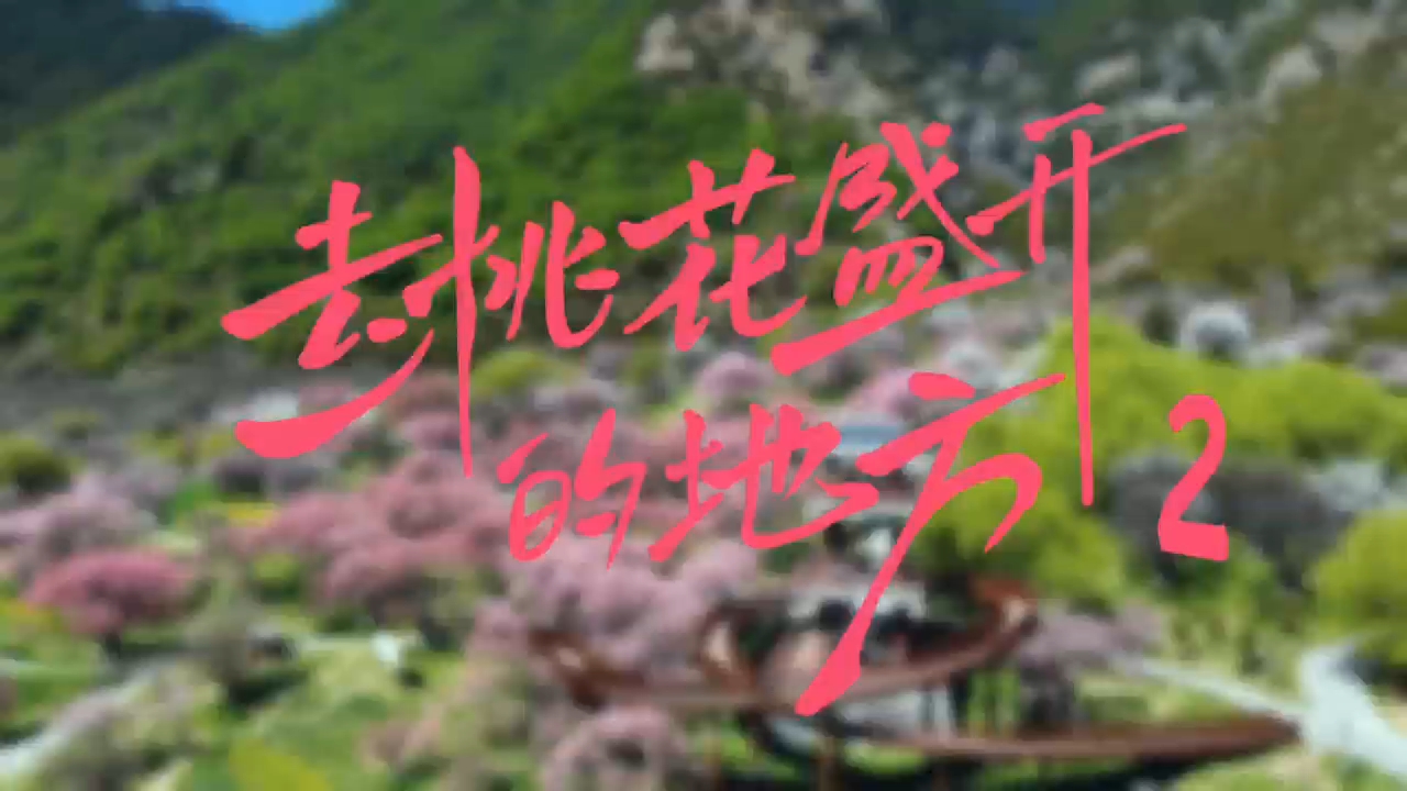 网络微短剧《去桃花盛开的地方2》6月25日即将播出