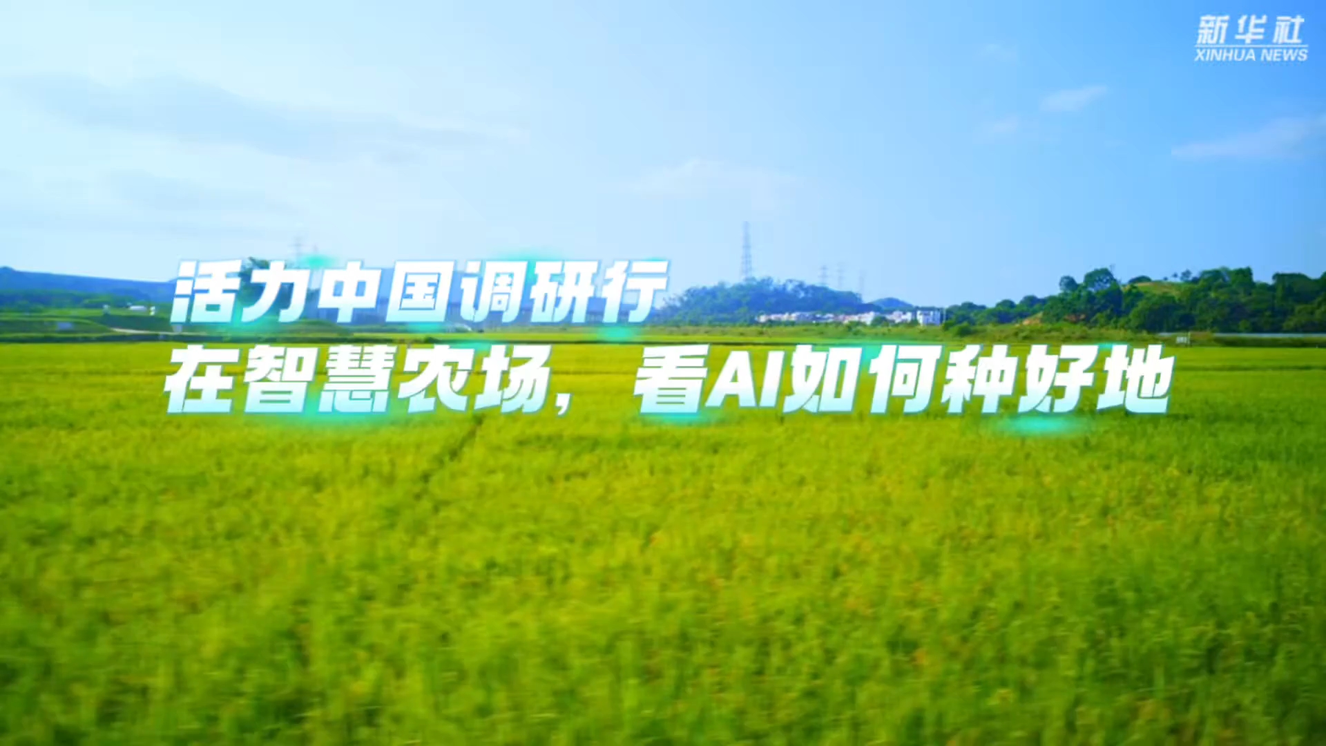 在智慧农场,看AI如何种好地