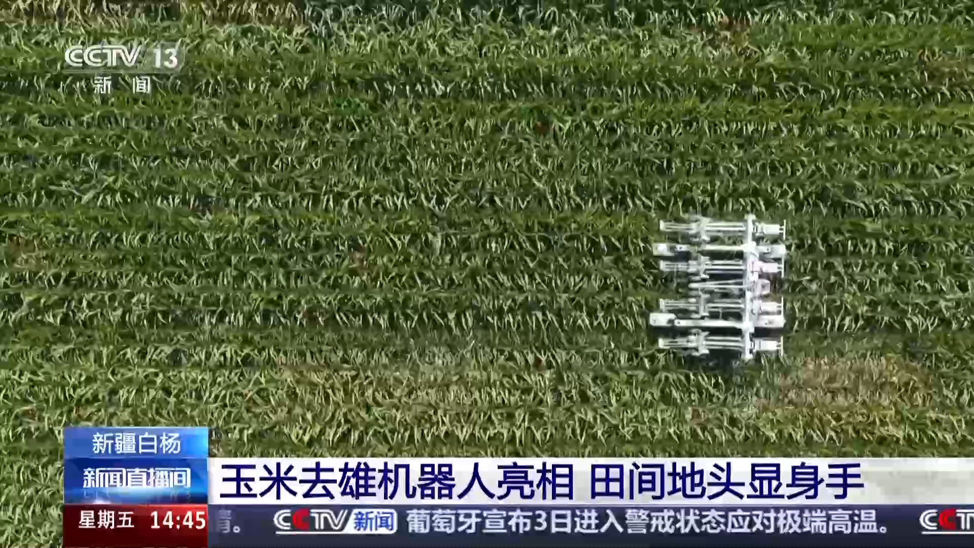 视频丨田间地头显身手 看机器人如何高效作业