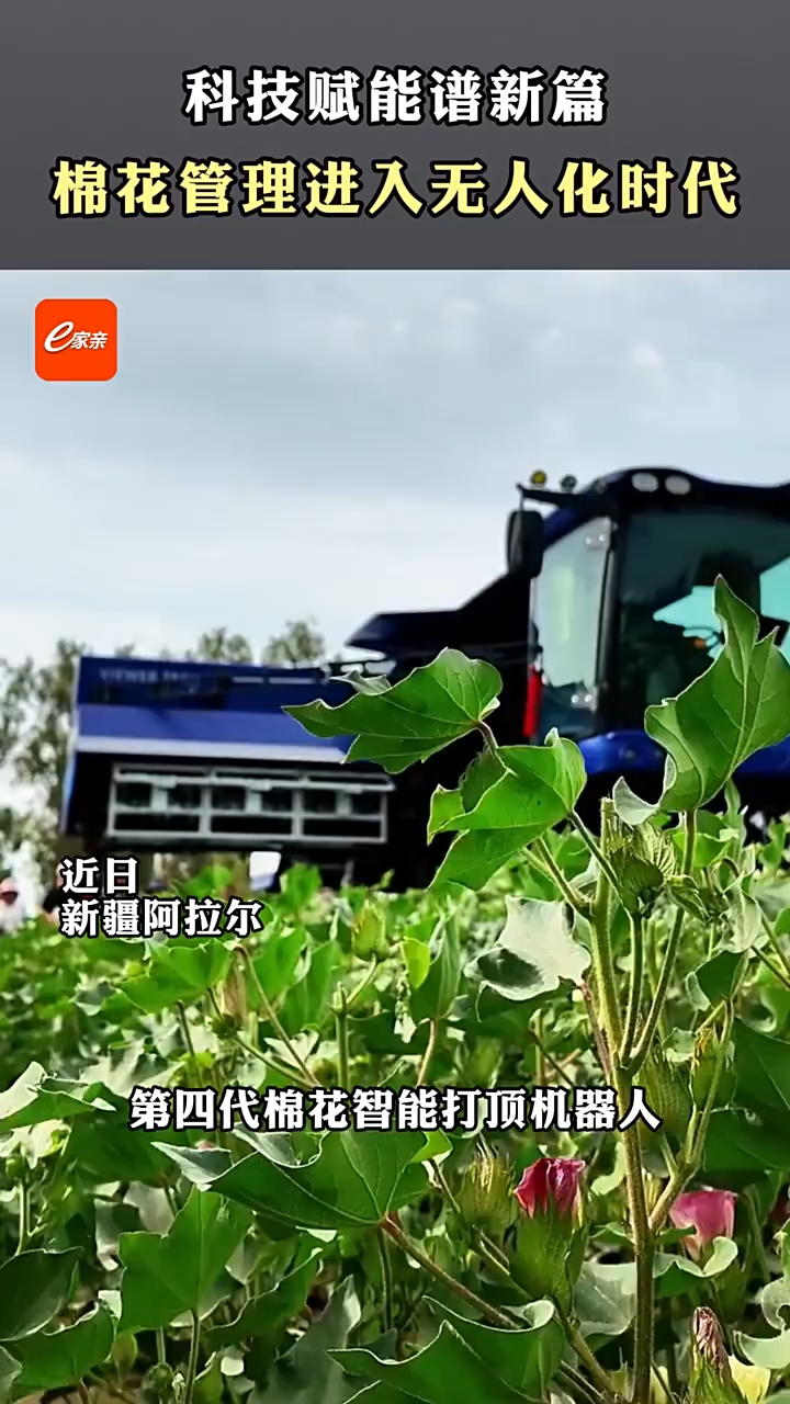 科技赋能谱新篇：棉花管理进入无人化时代