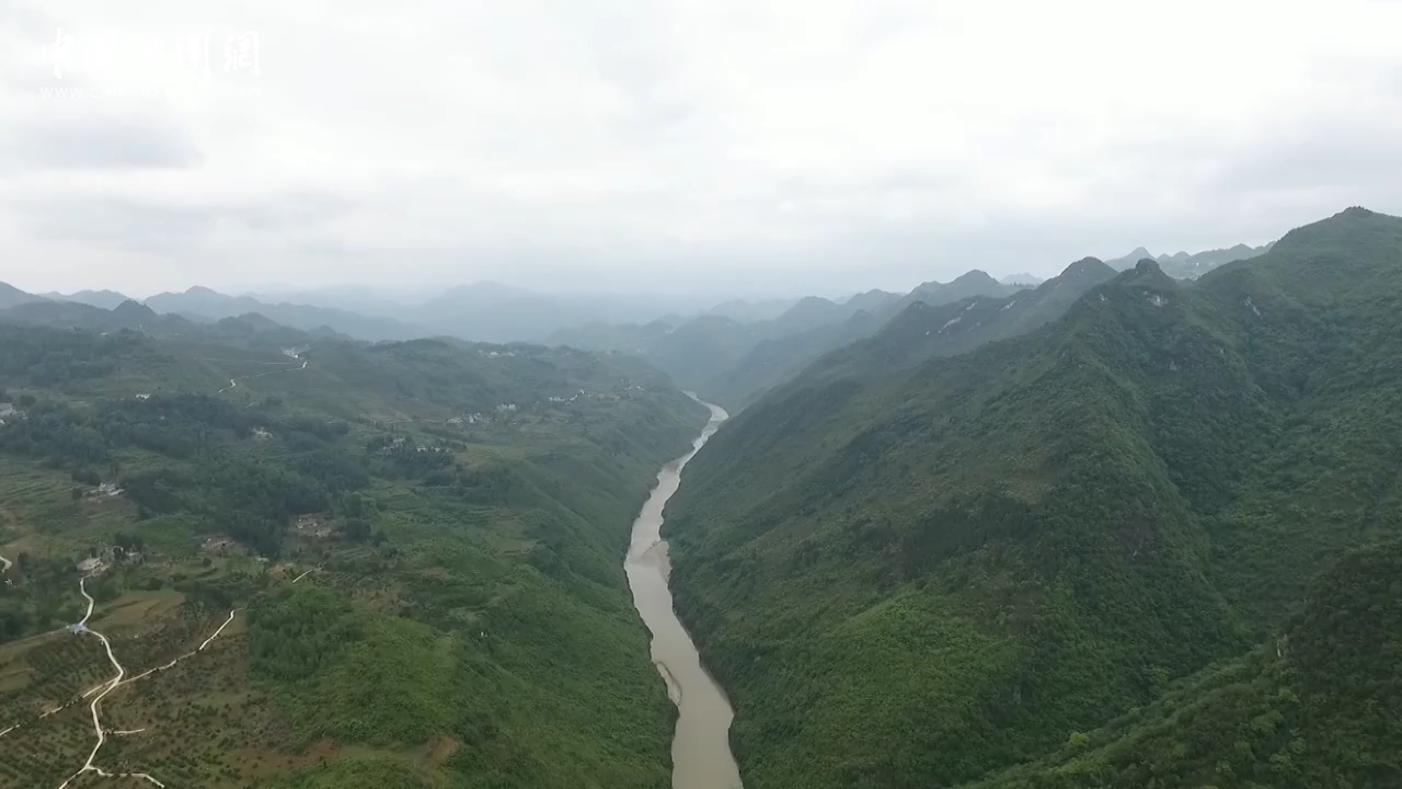 （长江十年行）写在青山绿水间的贵州“绿色答卷”