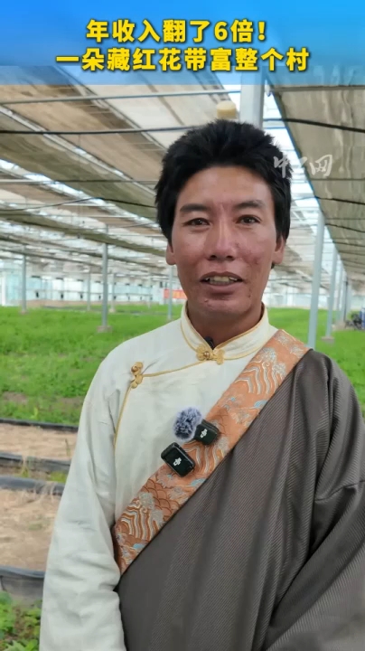我们的家园丨年收入翻了6倍!一朵藏红花带富整个村