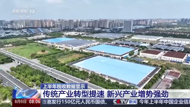 视频丨上半年传统产业转型提速 新兴产业增势强劲