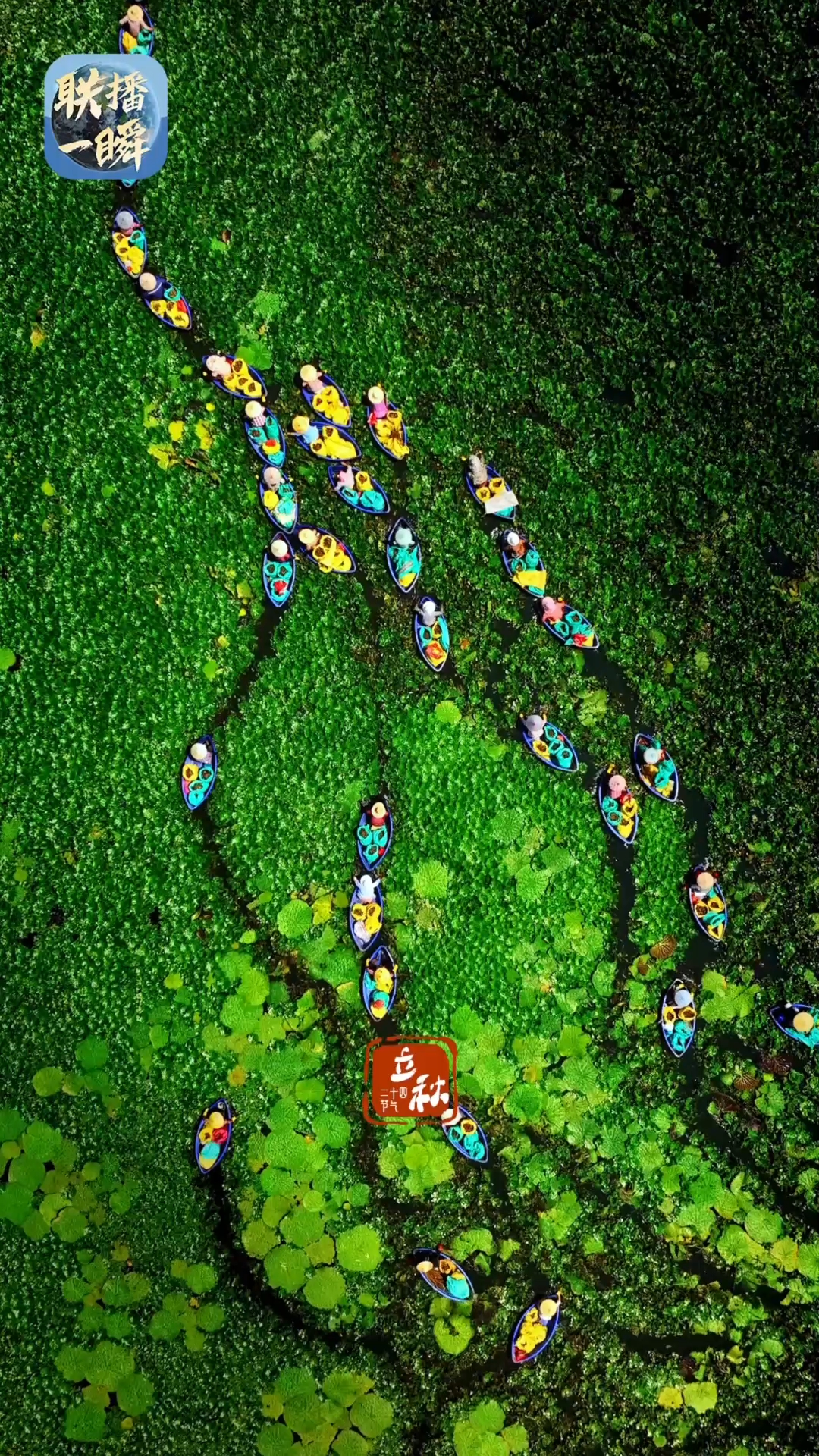 联播一瞬丨立秋：夏犹未尽 秋意初临