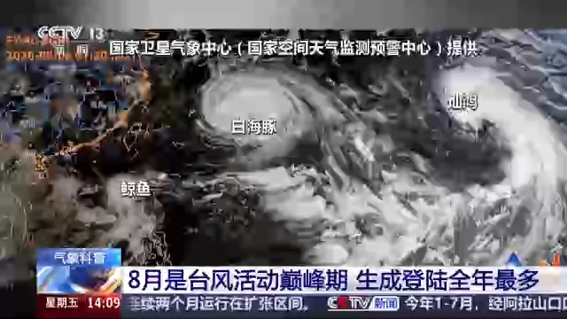 视频丨8月台风生成登陆全年最多 最常在我国这些地方登陆→