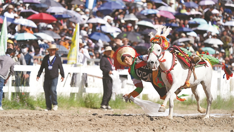 马蹄声声酸奶香 欢歌阵阵笑飞扬