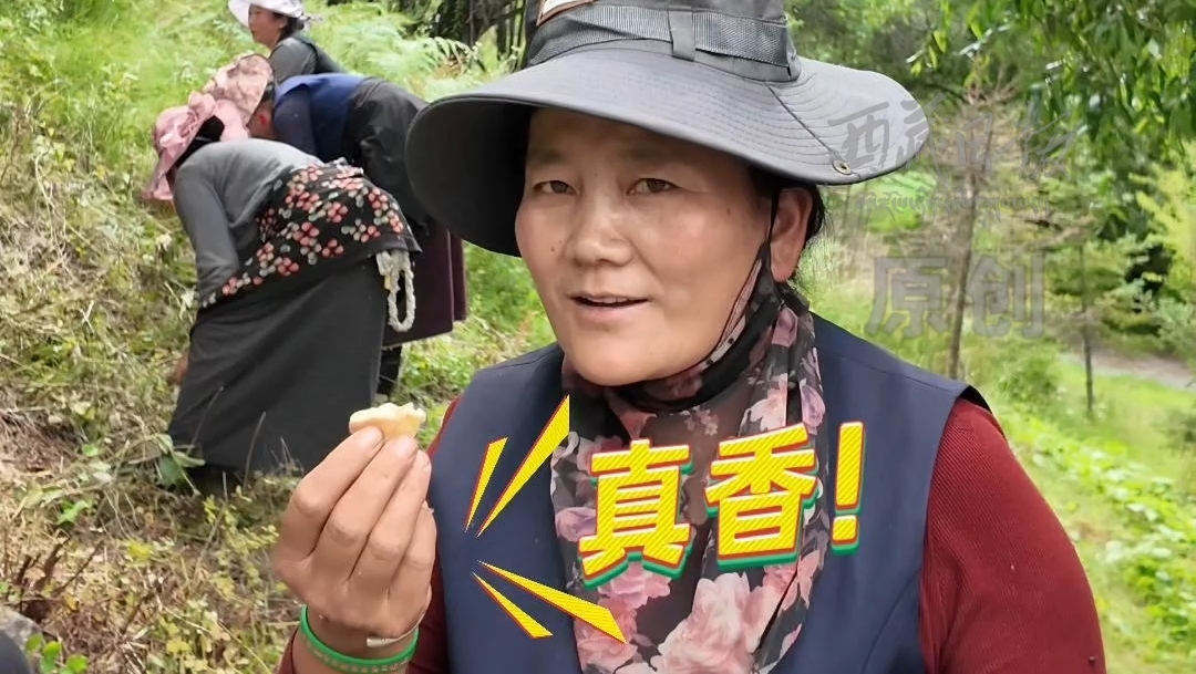  一瞬与一年！嘎拉村的桃花变桃子