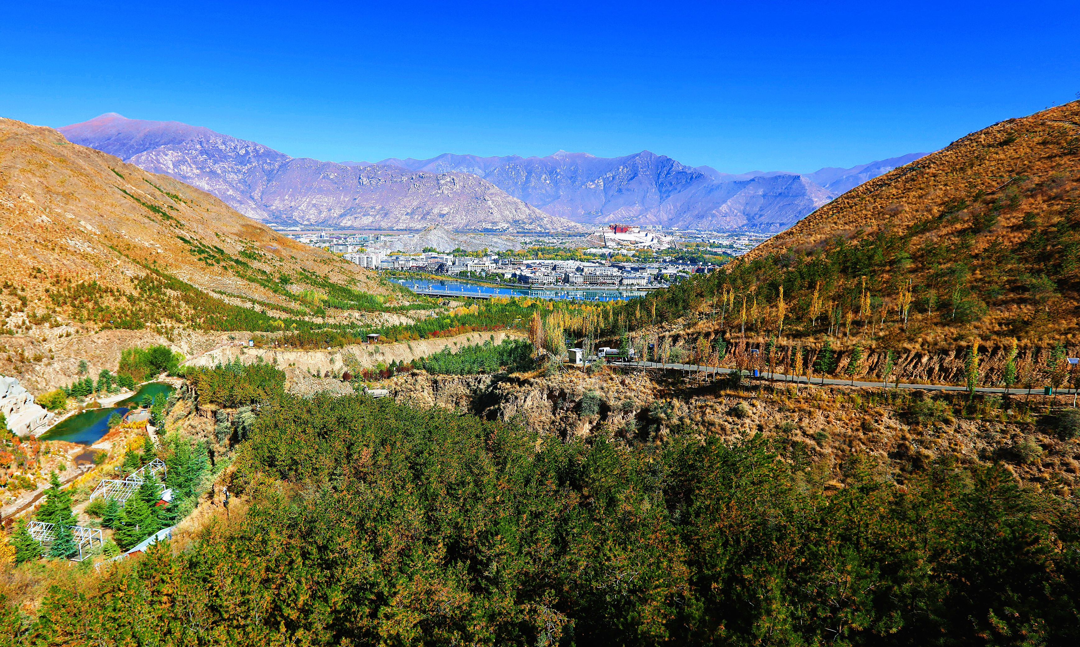 守护高原青绿 绘就生态新景