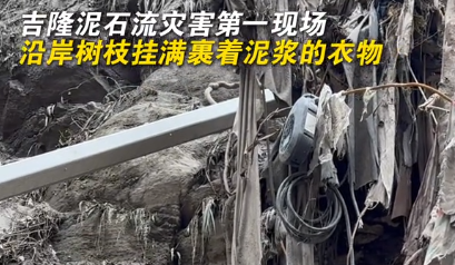 在吉隆泥石流灾害现场，发现沿岸树枝挂满了裹着泥浆的衣物
