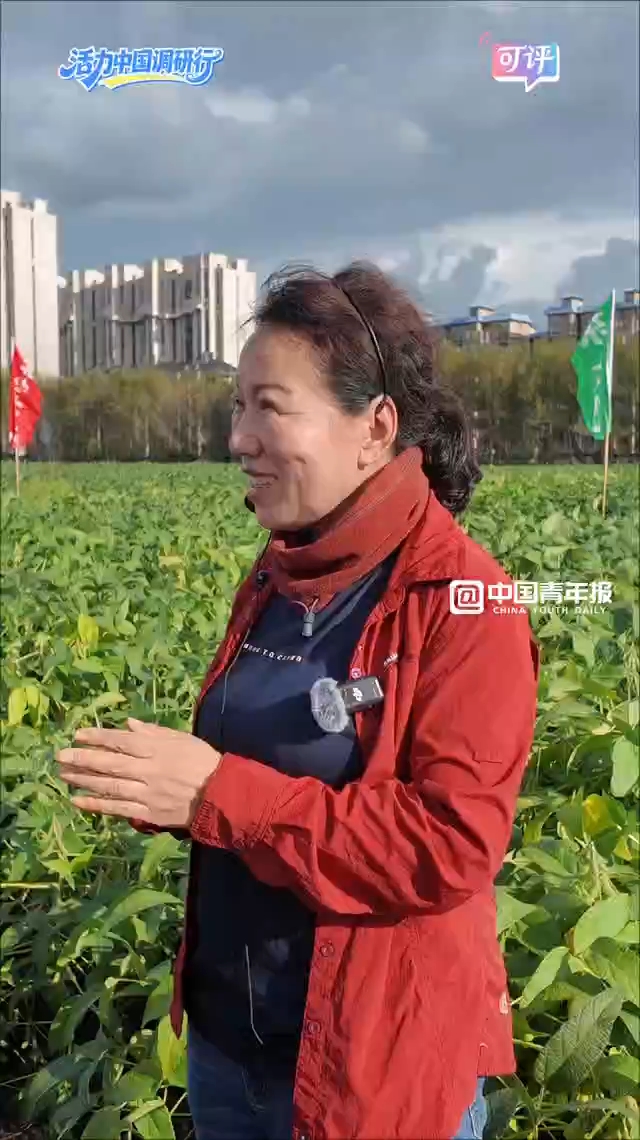 【活力中国调研行】黑土地会