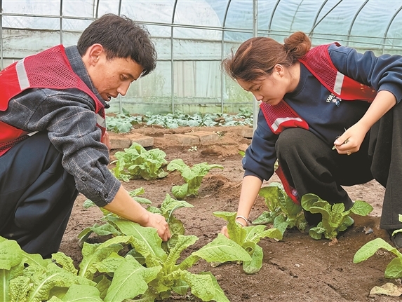守好群众“菜篮子”