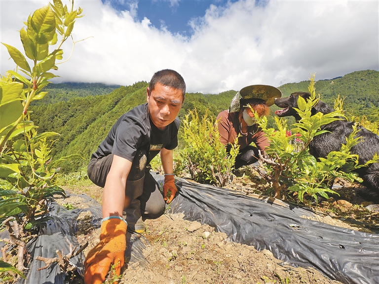 田垄、草原与山乡