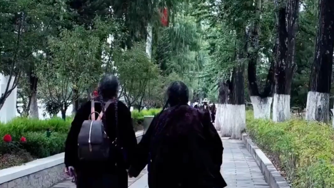两位老奶奶牵手散步