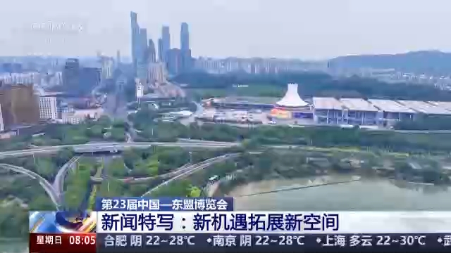 视频丨中国大市场、新机遇频获东盟国家点赞