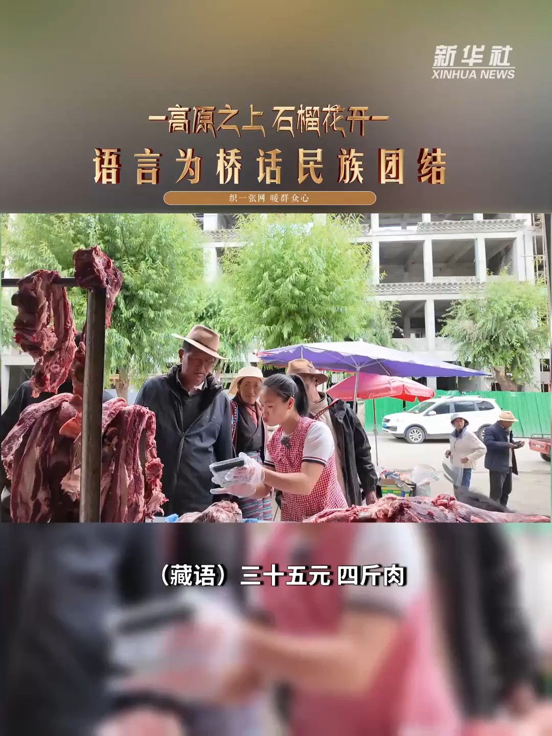 高原之上,石榴花开——语言为桥 话民族团结