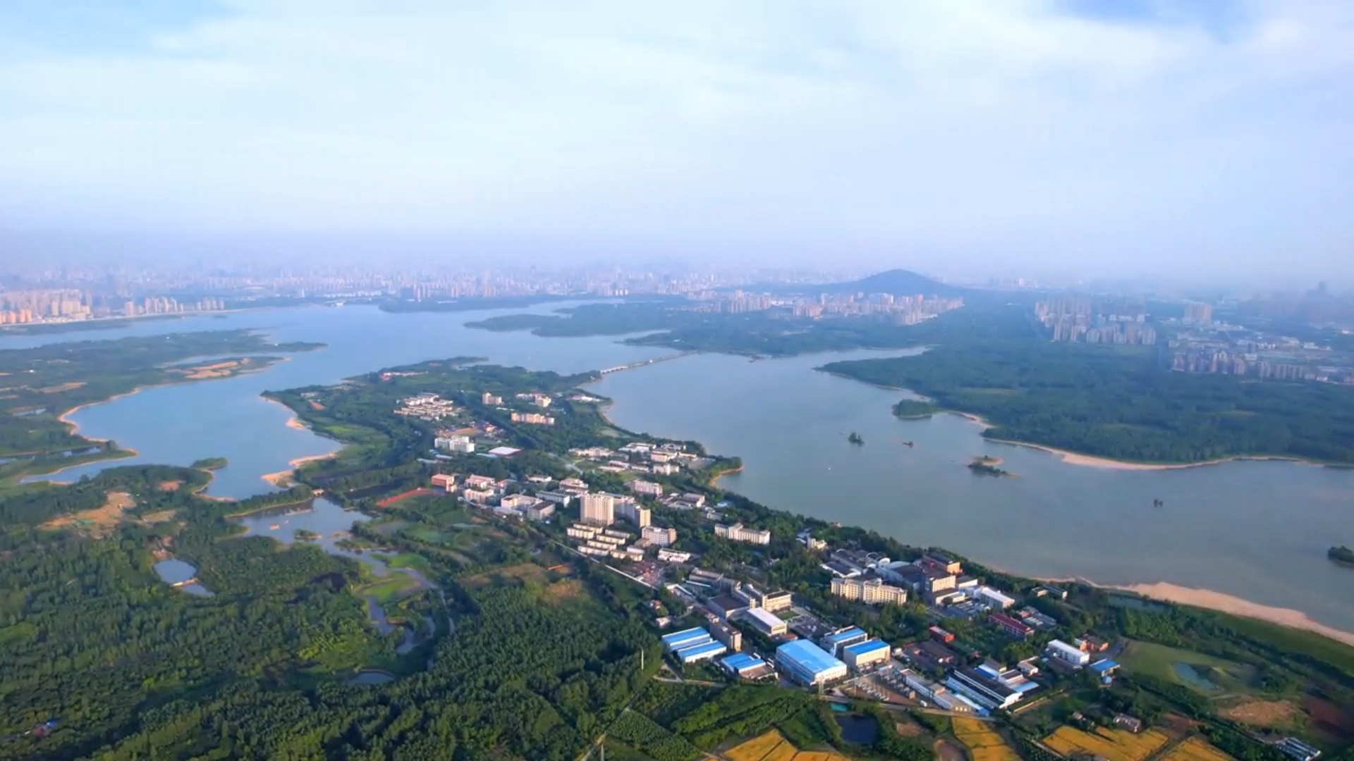 【理响中国·领航未来】聚链成群：构筑未来产业“生态圈”