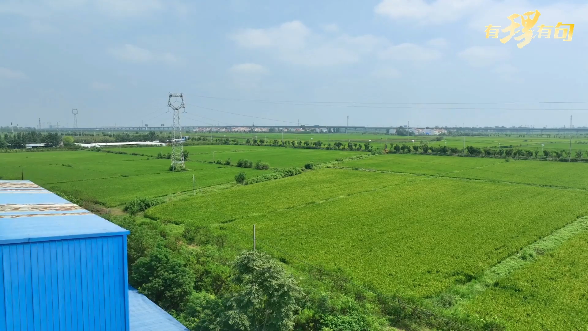 【有理有句】从“会种地”到“慧种地”，用科技种出丰收底气