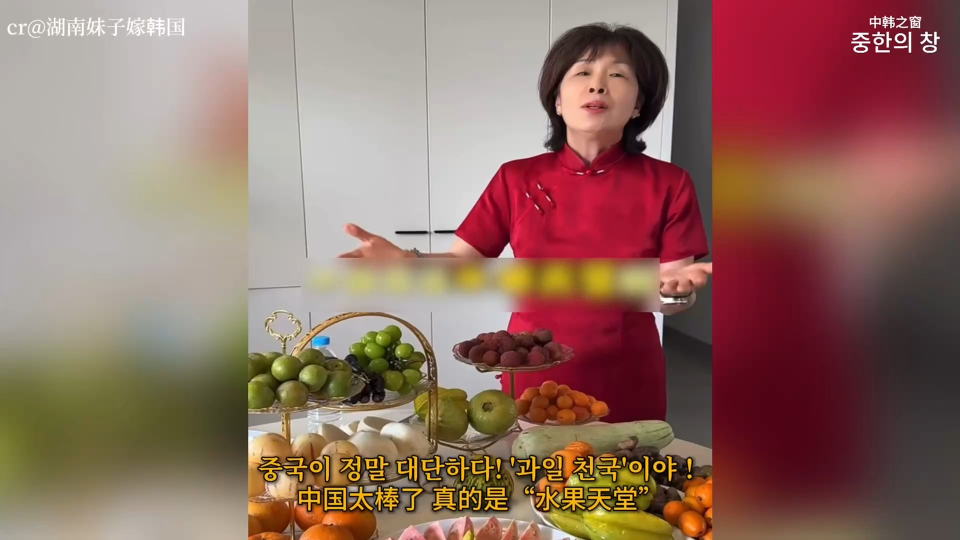 【中韩之窗】“惊到说不出话”!韩国博主:中国真的是“水果天堂”