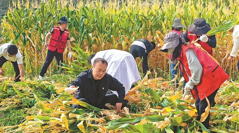丰收节里话丰收