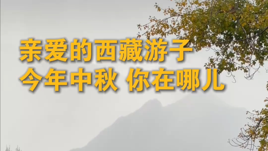致每一个IP不在西藏的你