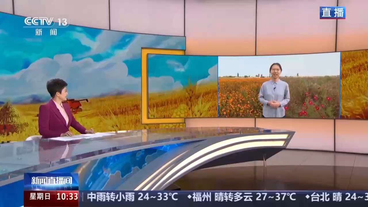 视频丨全国草本花卉种子70%来自这里 一粒好种子如何采收？
