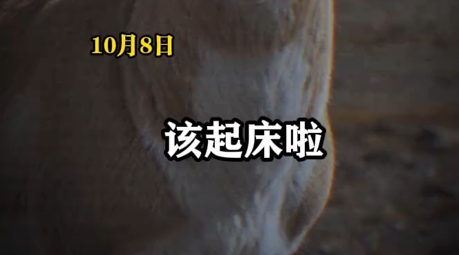 假期结束 要上班、上学啦