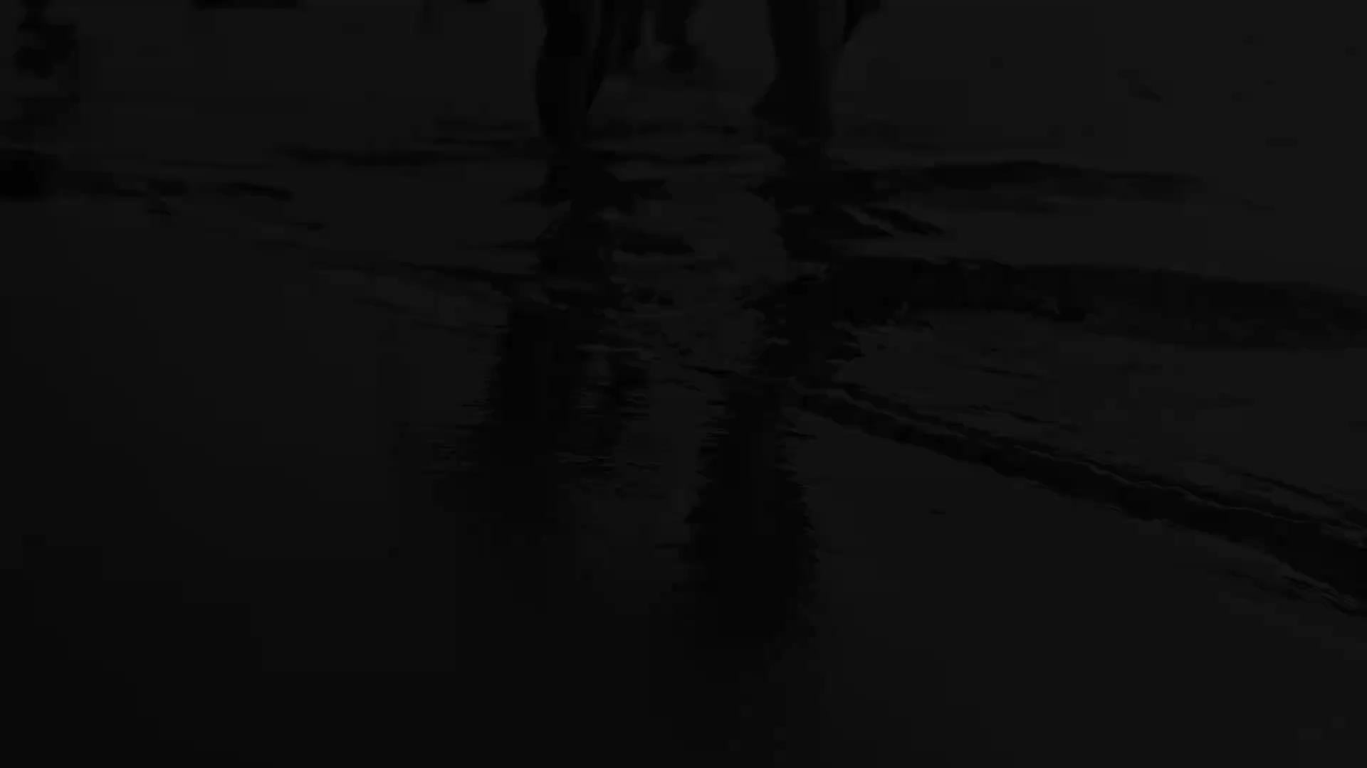 又见江湾清如许
